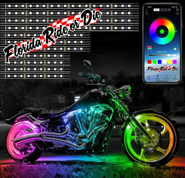 12pc Multi-Color Light Kit w/ Remote Control